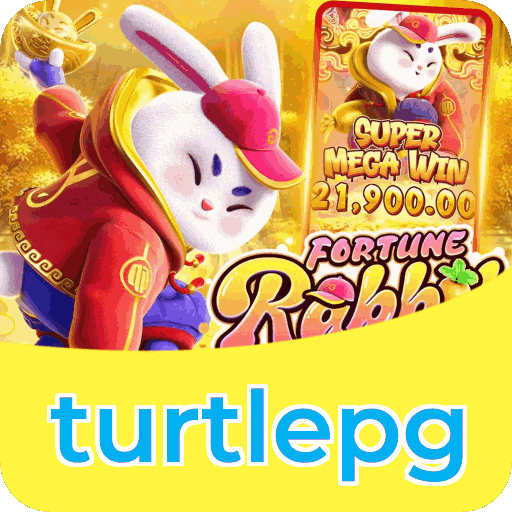 Métodos de pagamento aceitos na turtlepg